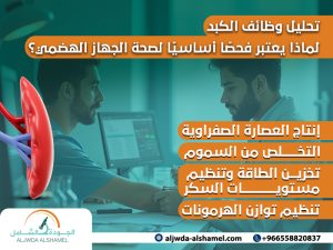 تحليل وظائف الكبد لماذا يعتبر فحصًا أساسيًا لصحة الجهاز الهضمي؟
